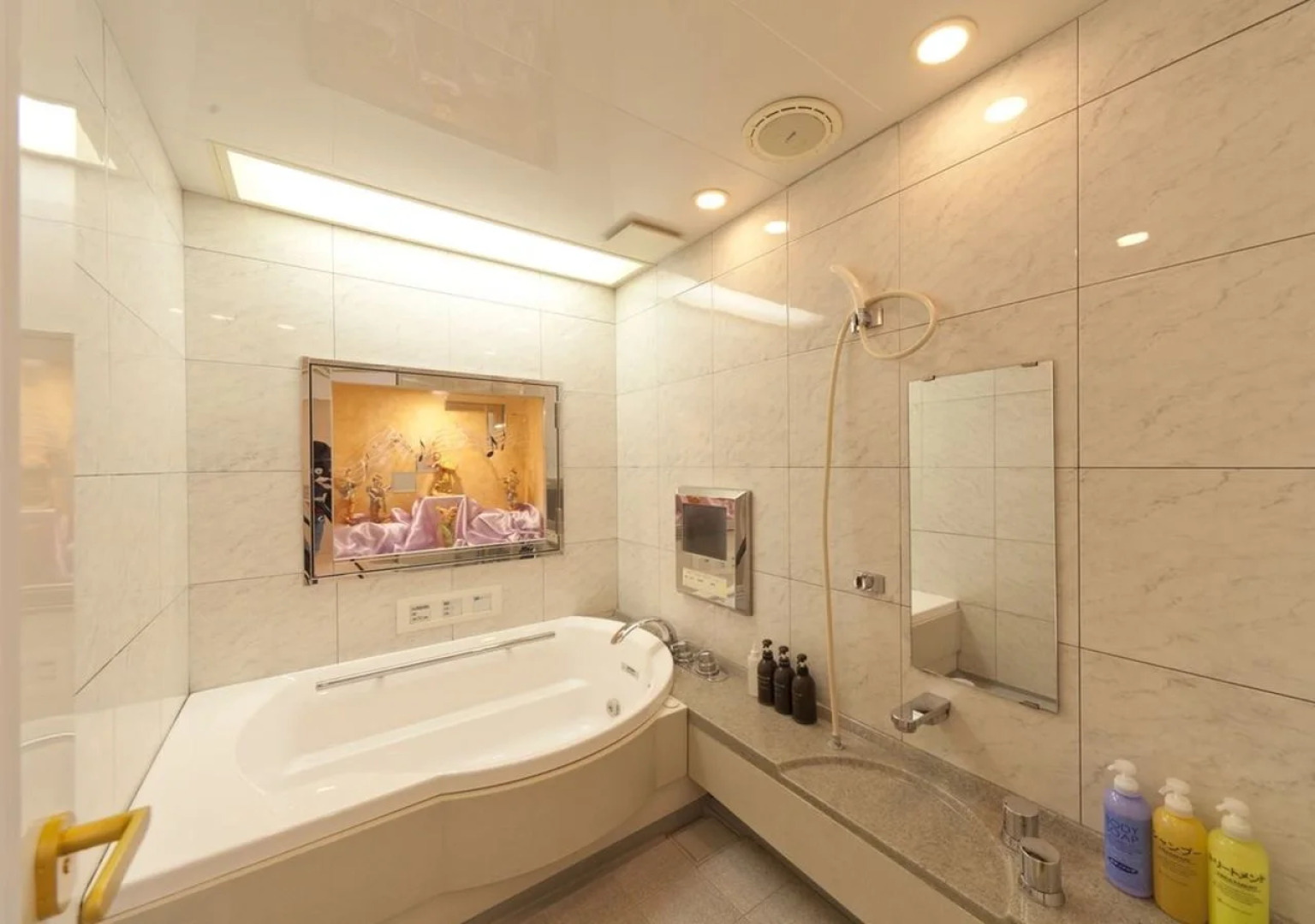 Hotel Fine Shiga Ritto