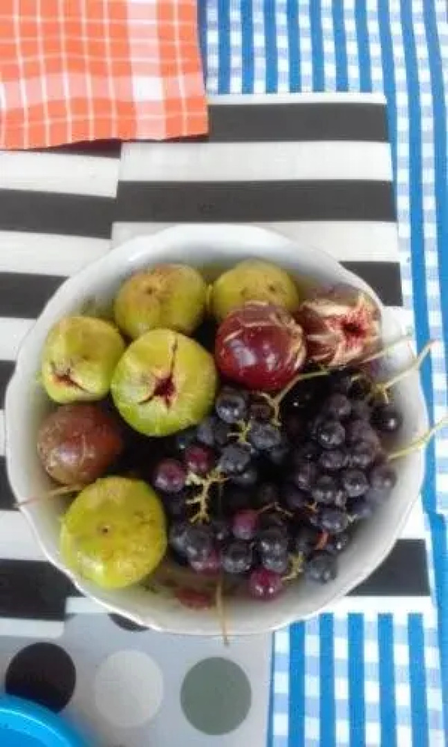 Guest house Polnaya Chasha