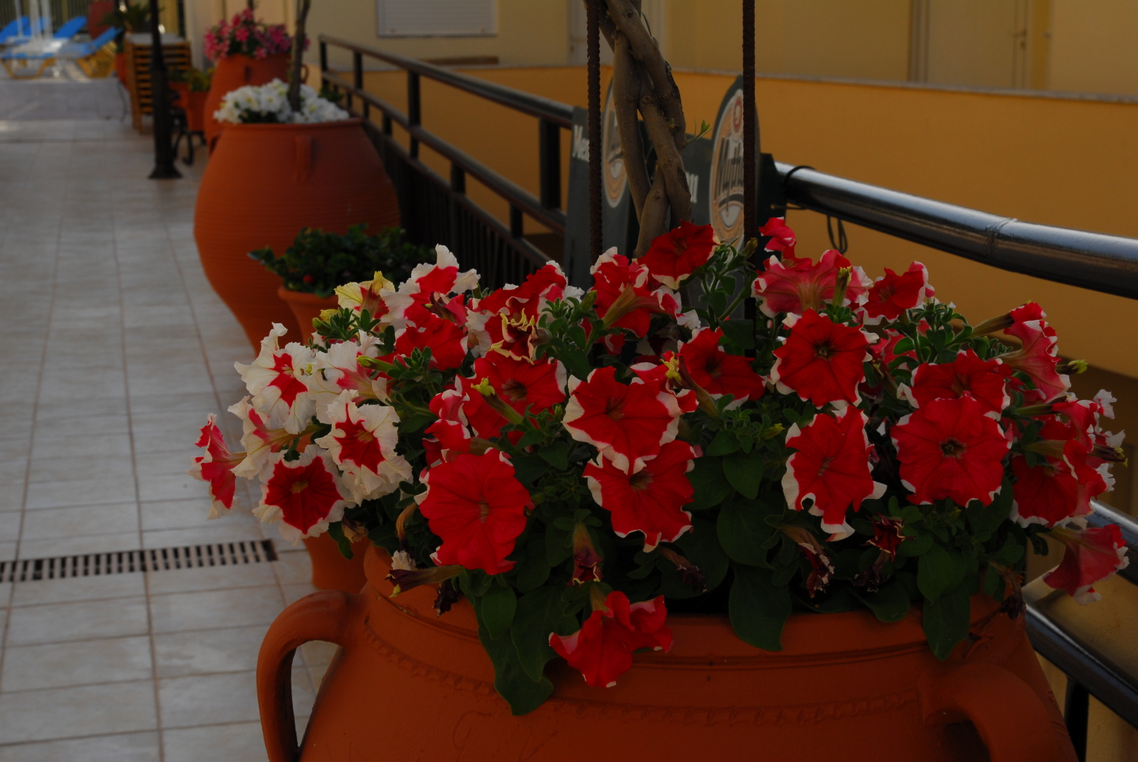 Elpis Studios & Apartments