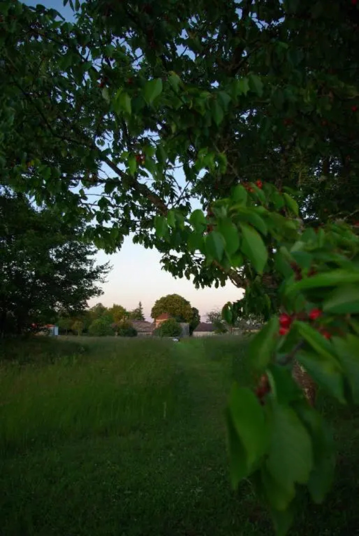 Domaine de Bel Air Carpe Diem