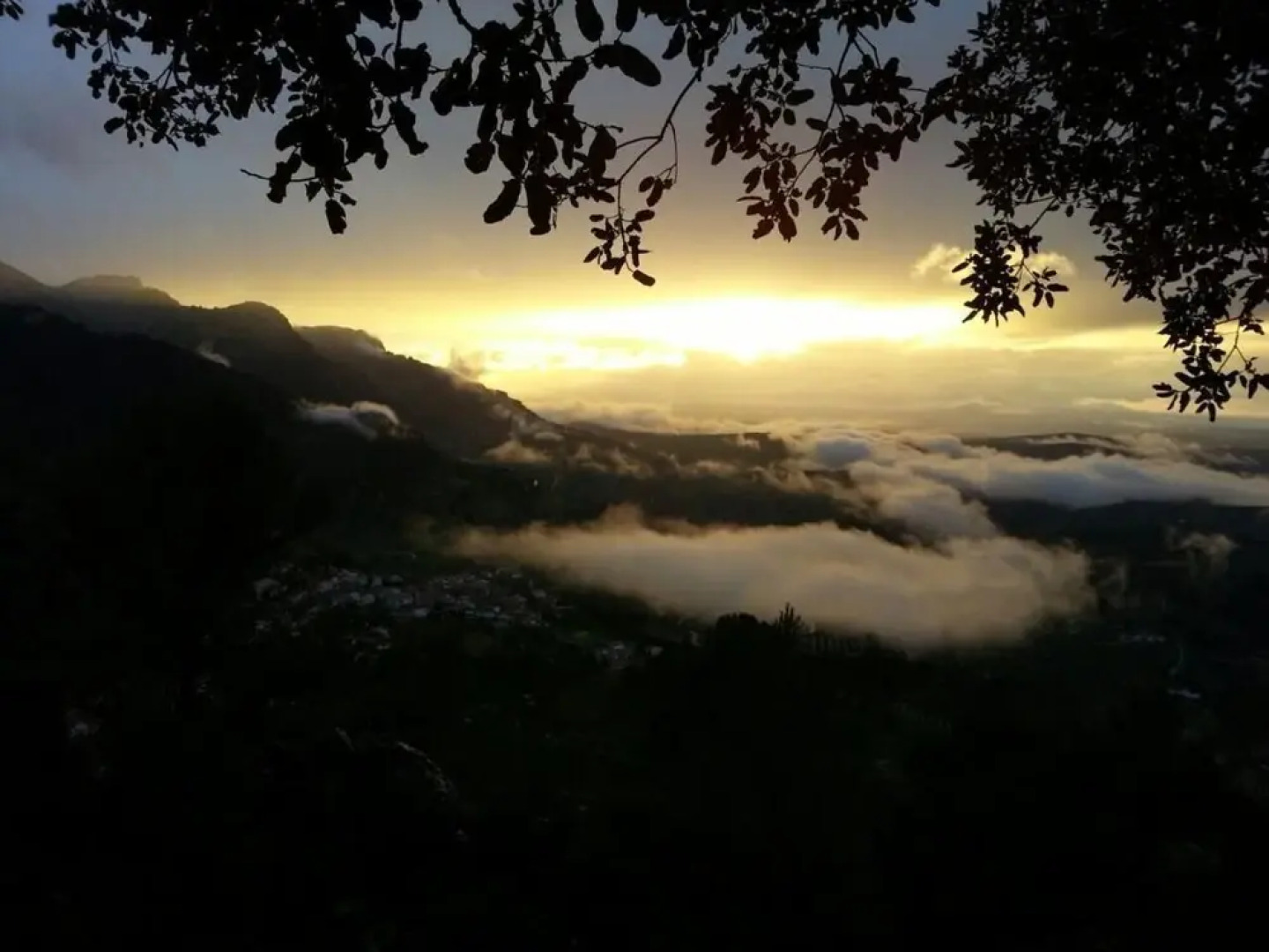 Pensión Arroyo de La Teja