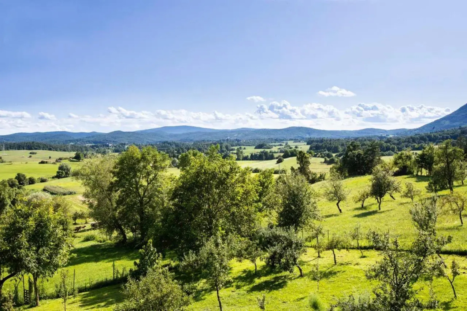 Village House St. Michael