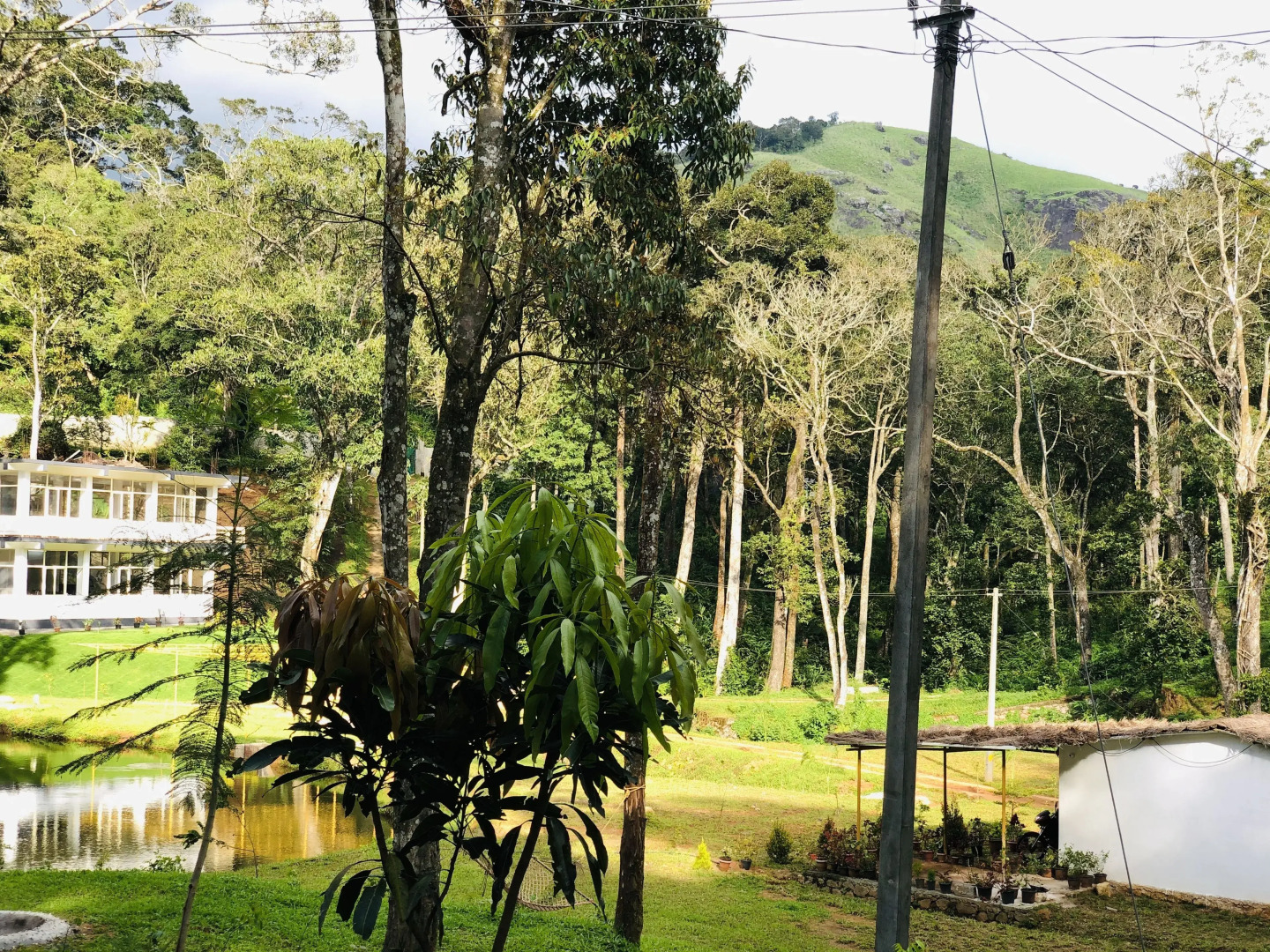 The Gazelle Villa Resort