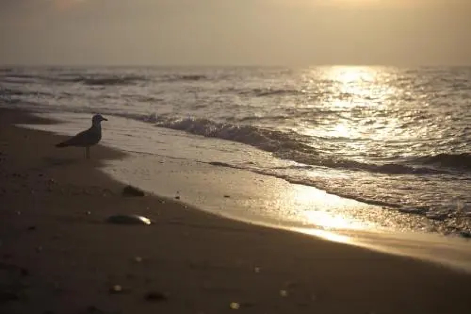 Ferienwohnung Kröpelin