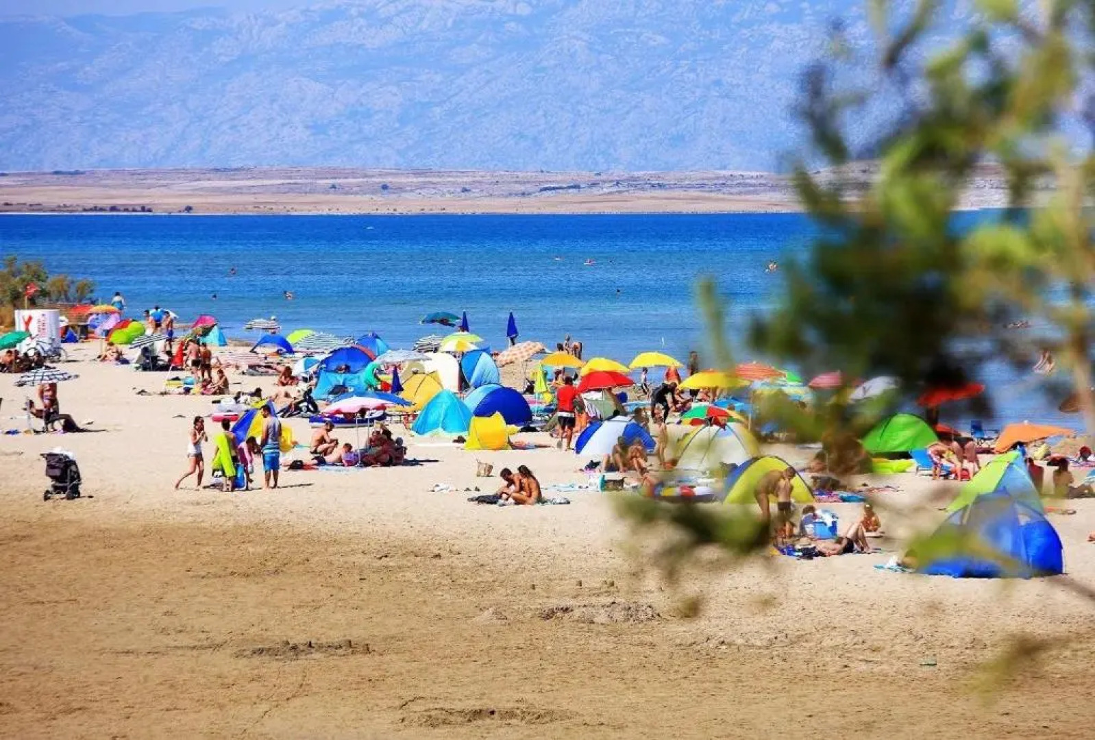 Apartments Monika Nin