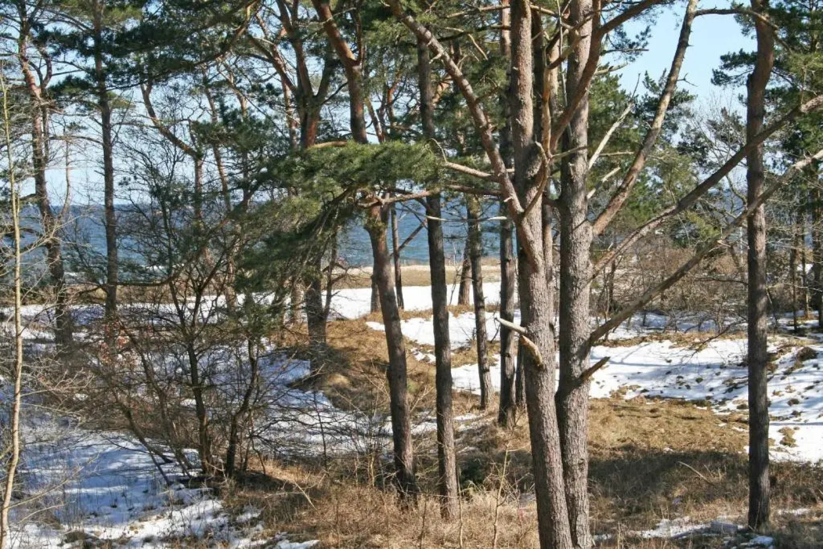Haus Meeresblick - Ferienwohnung Traumreich