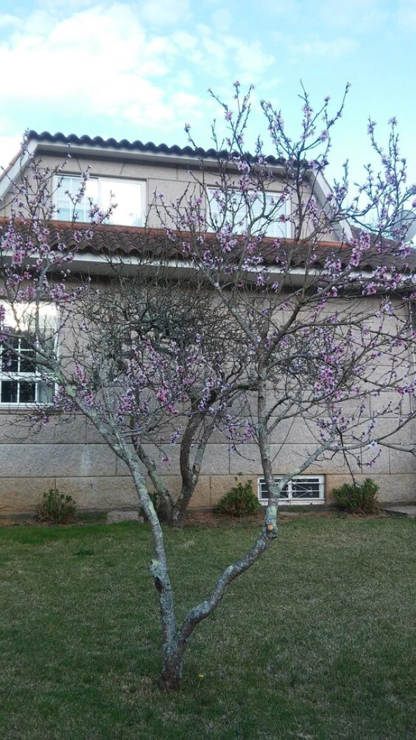 Redondela Pontevedra 102672 Villa By Mo Rentals