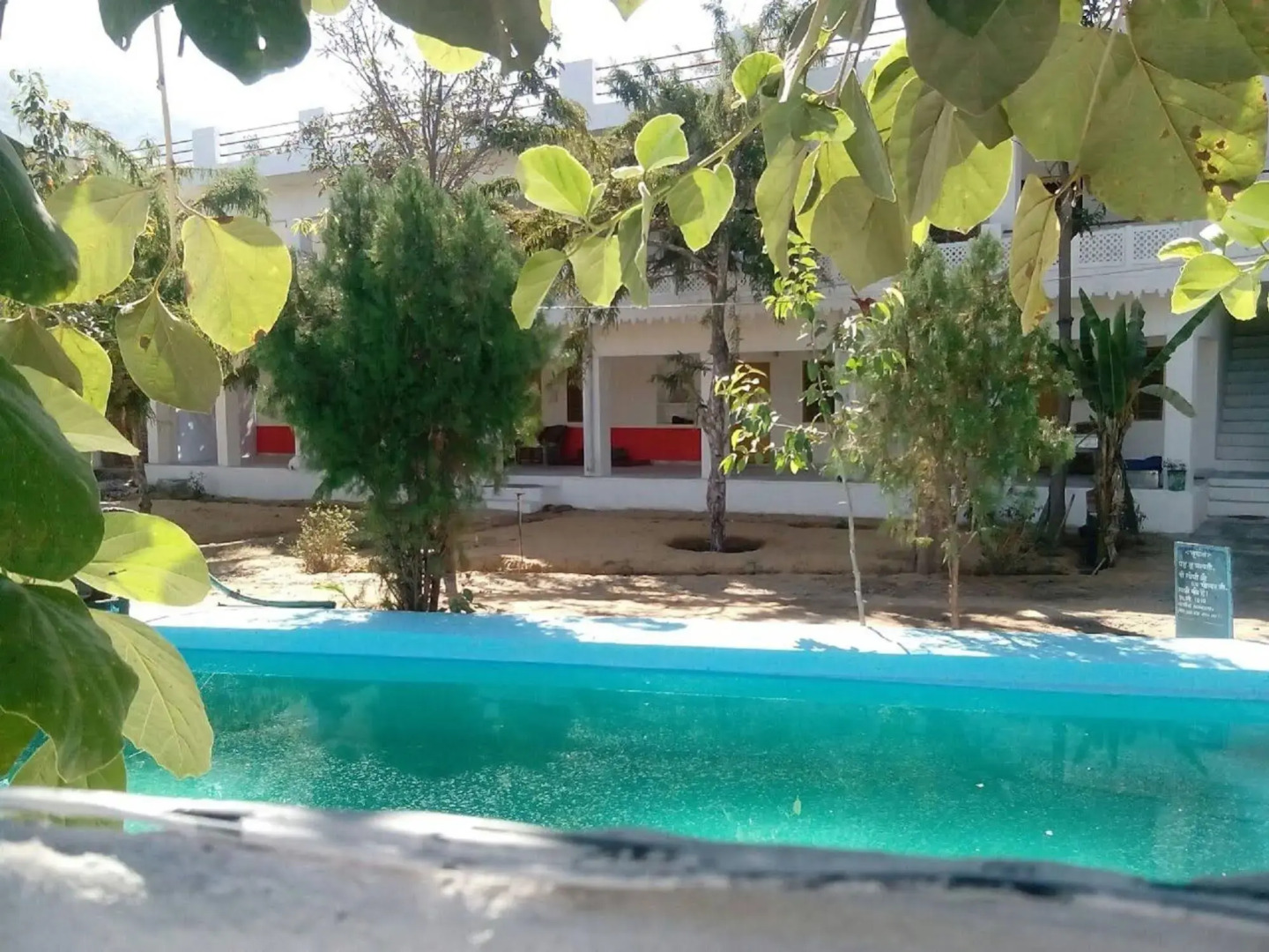 Backpacker Panda - Chand Palace