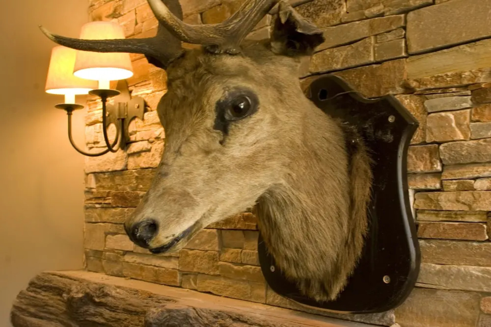 The Inn on Loch Lomond