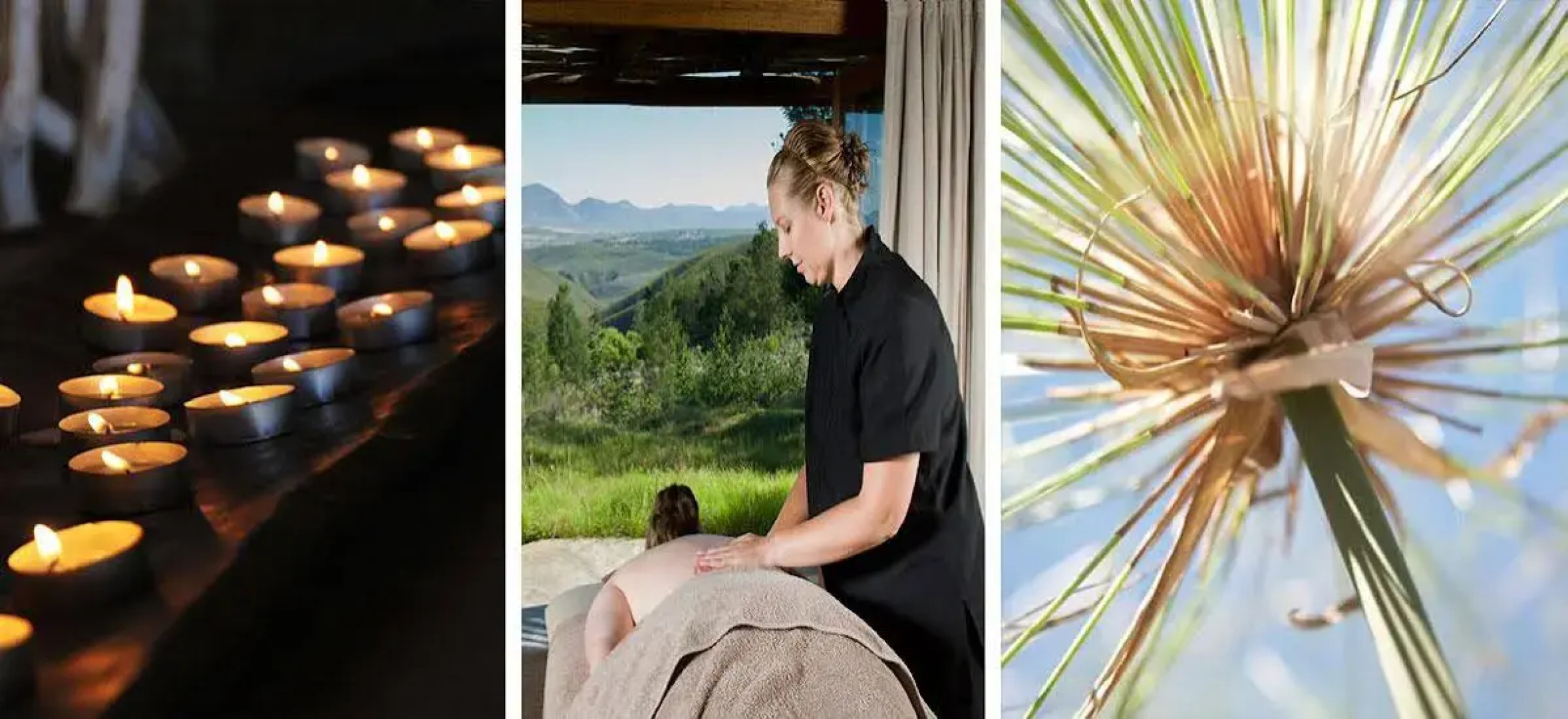 Gondwana Game Reserve