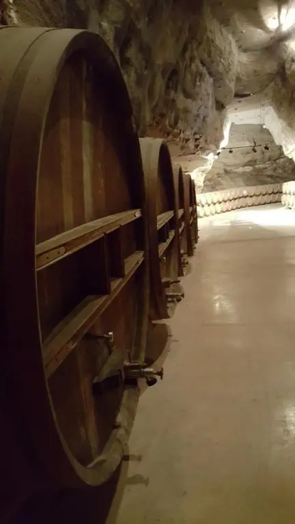 Appartement Le Flamant Rose