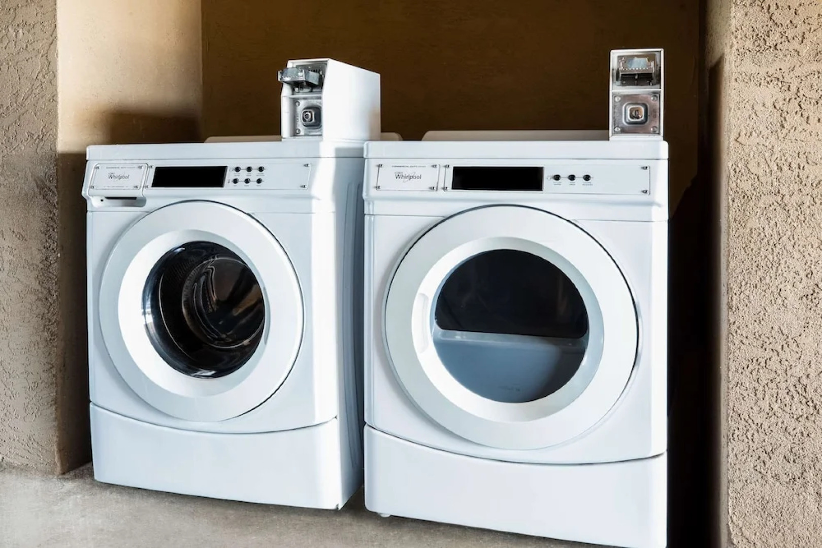 Super 8 Lindsay Olive Tree