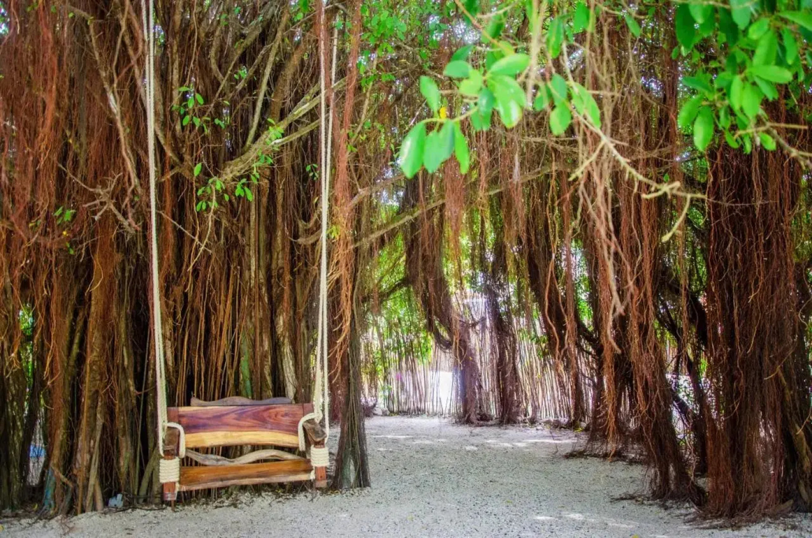 Namaste Beach Club & Hotel