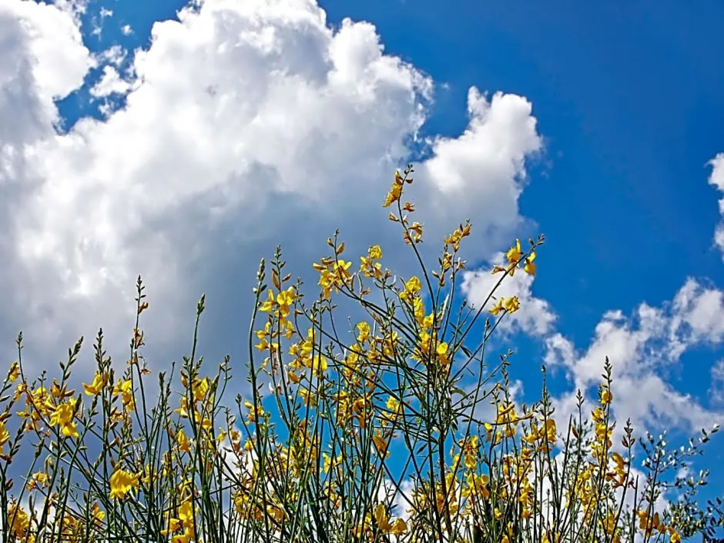 B&B Torre Della Chiocciola