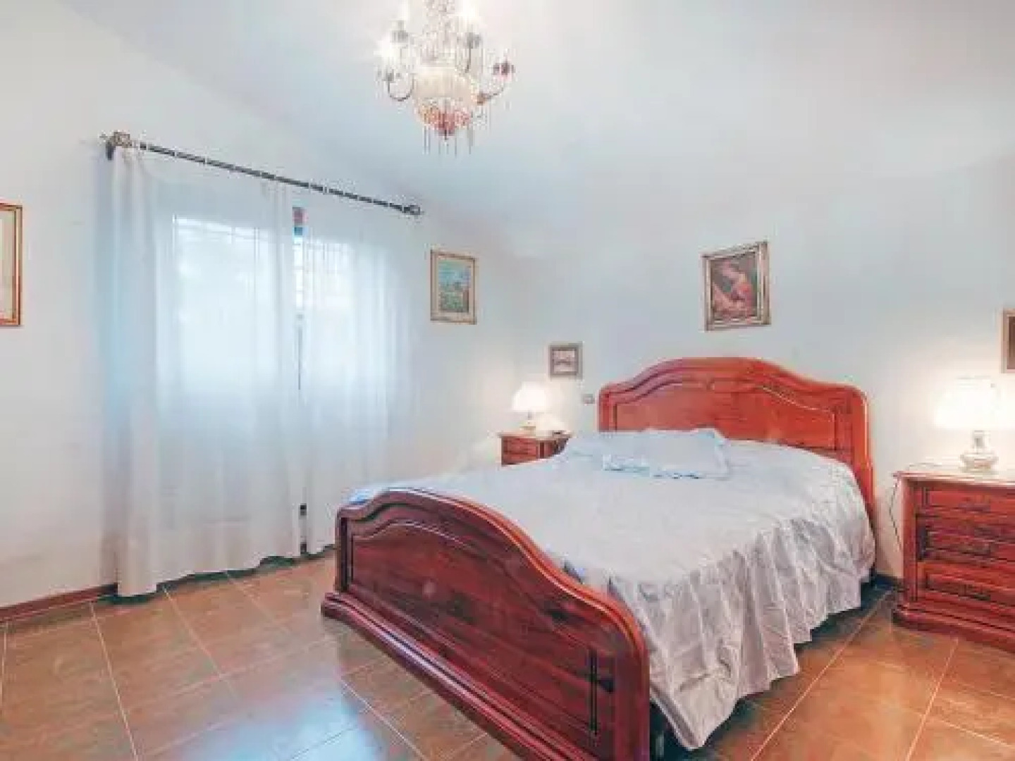 Locazione turistica Olivo secolare