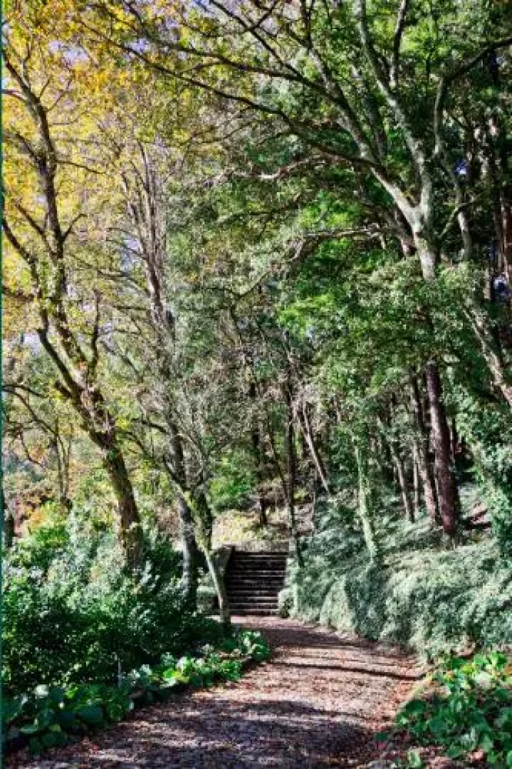 Quinta de Mourães Casa dos Rododendros