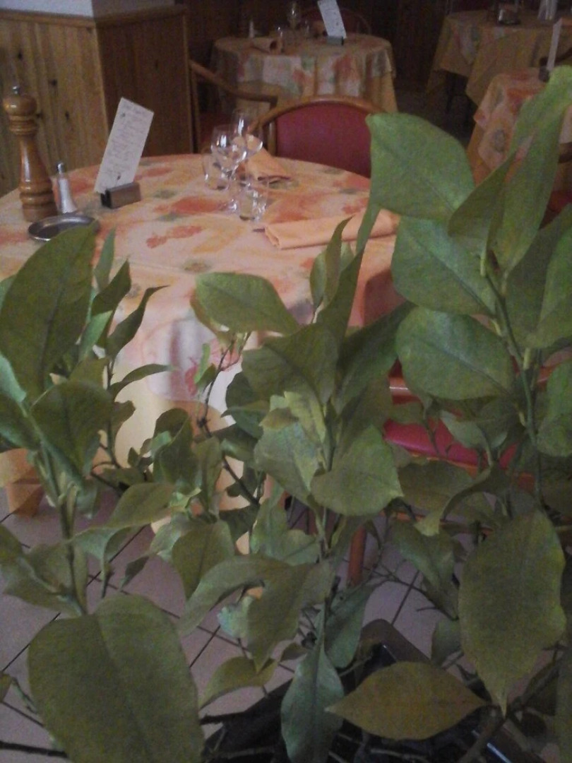 Hotel Restaurant le Provençal