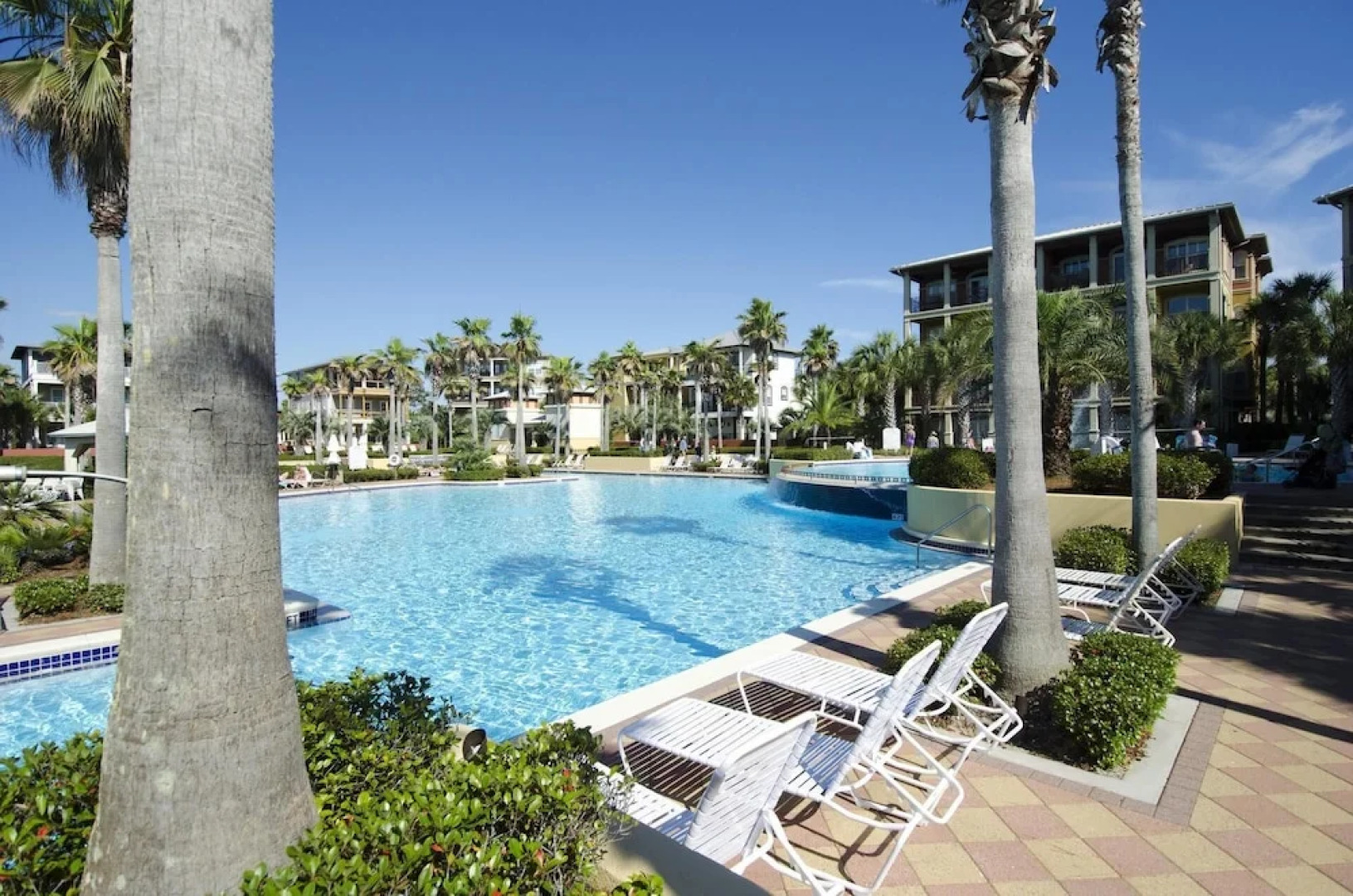 Palm Sundaze - 1606336