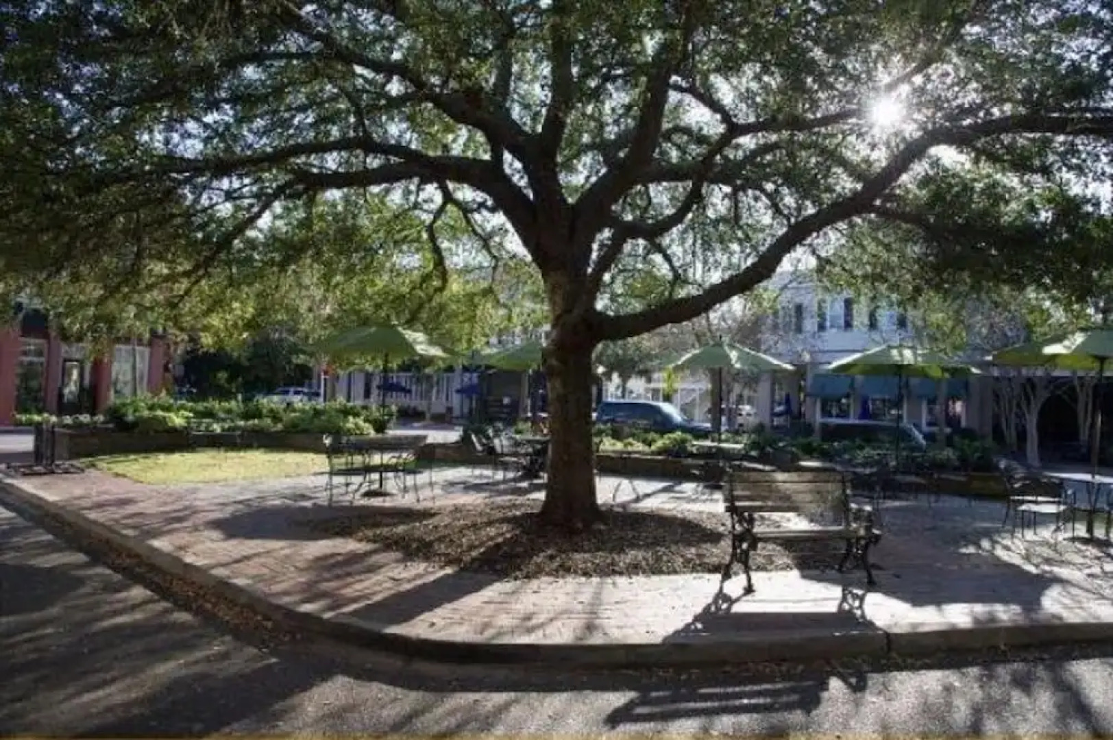 The Palmetto House Inn