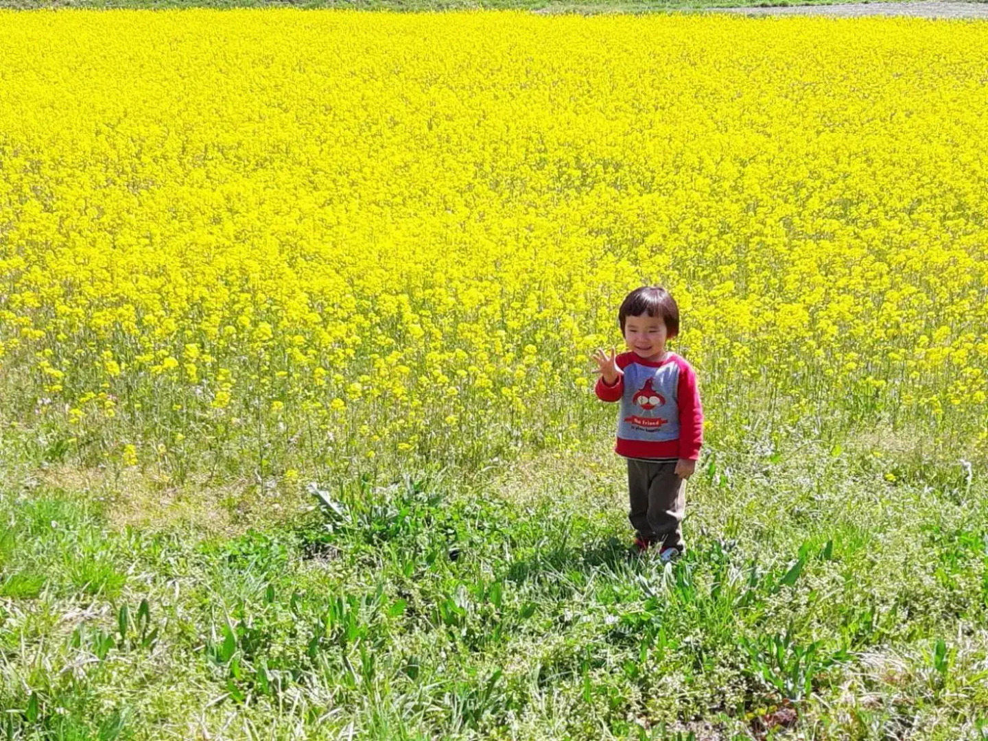 Wぴーす（W Peace)