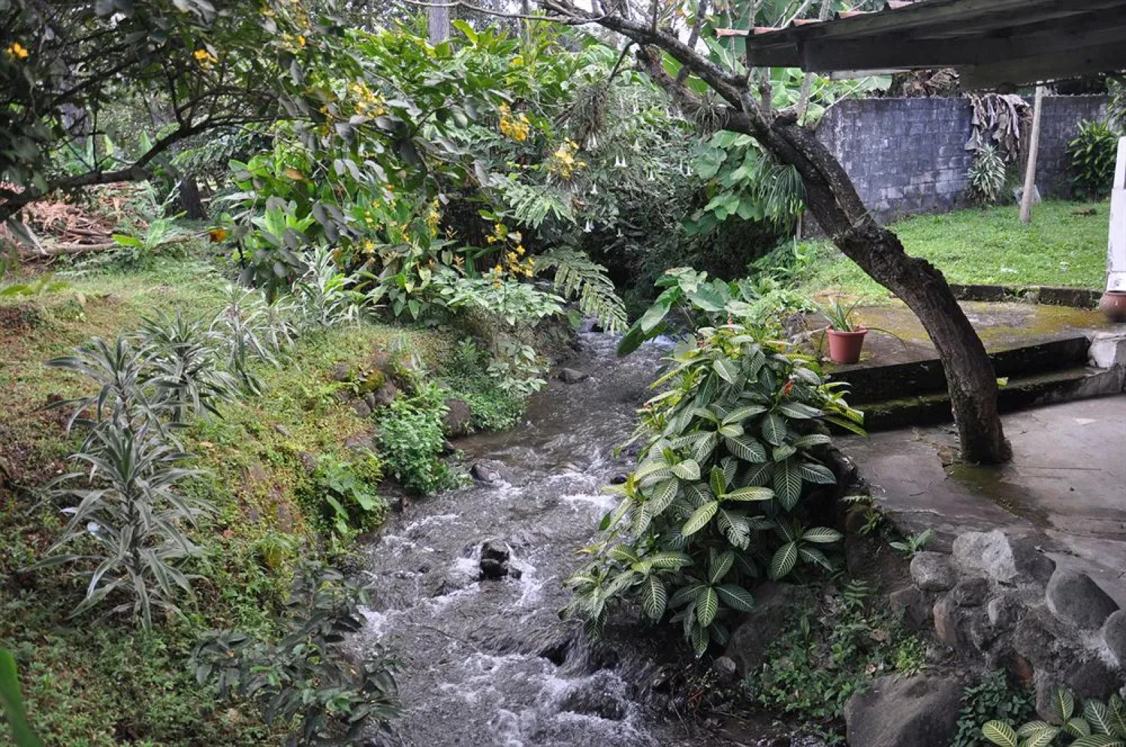 Hotel Fundadores Boquete