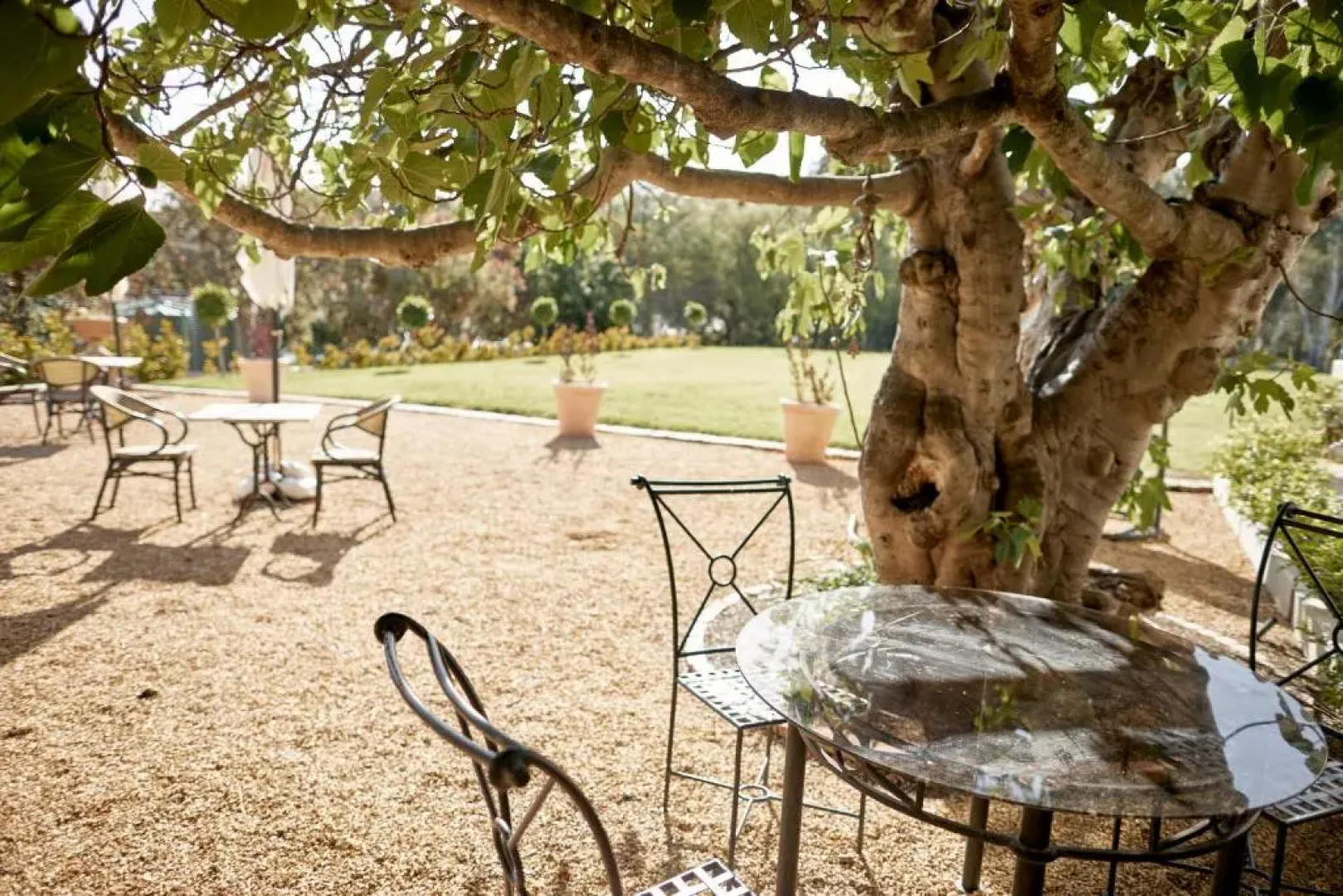 Le Mas Barossa Valley