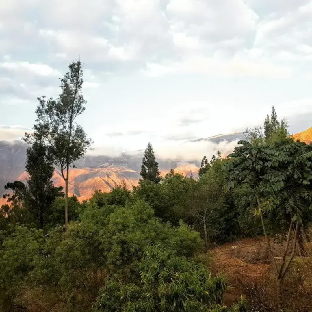 VALLE DEL INKA - Hotel