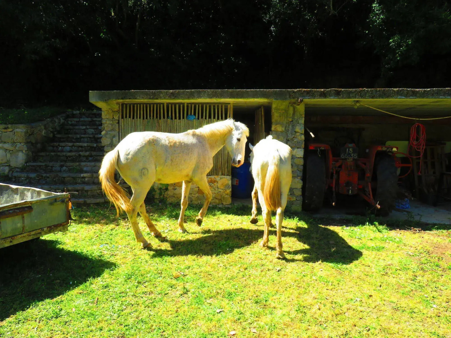 Quinta de Rio Alcaide