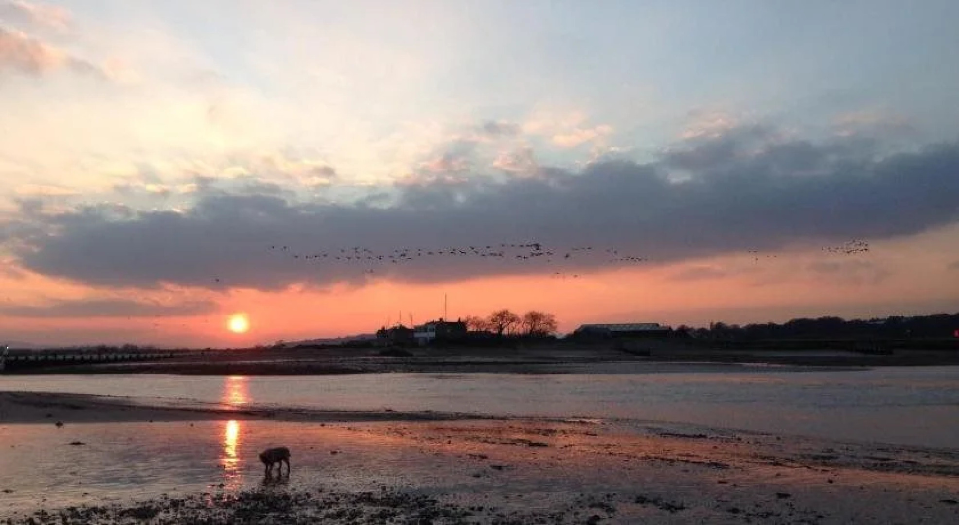 Mulberry Cottage B&B