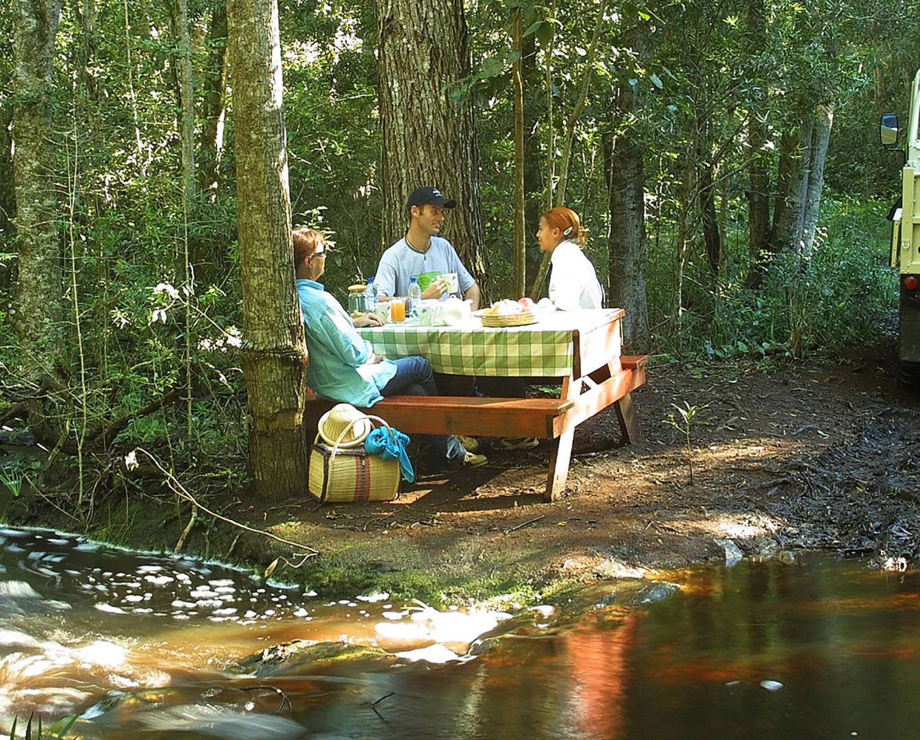 The Fernery Lodge and Spa