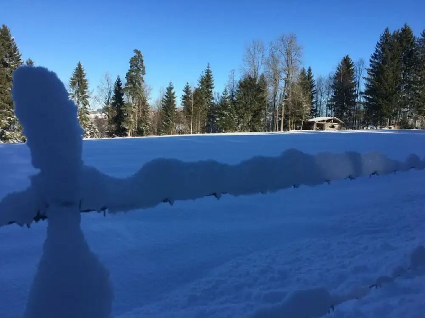 Haus Jorg Sosna Modern Retreat