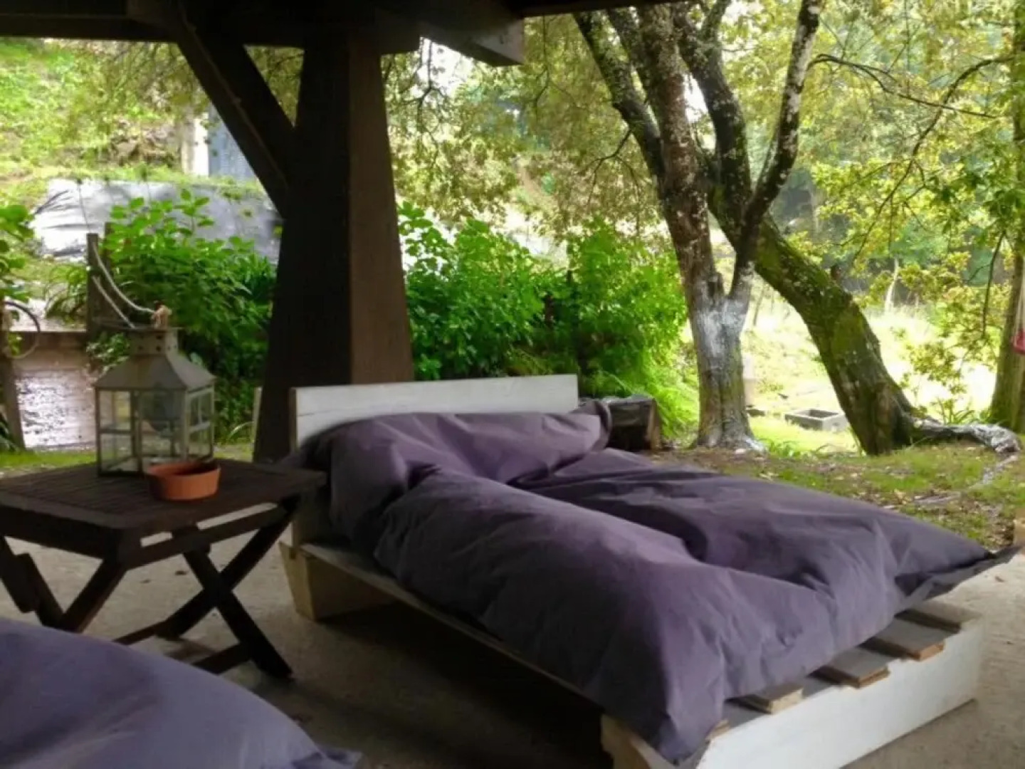 Tree Pool Villa in Arcos de Valdevez