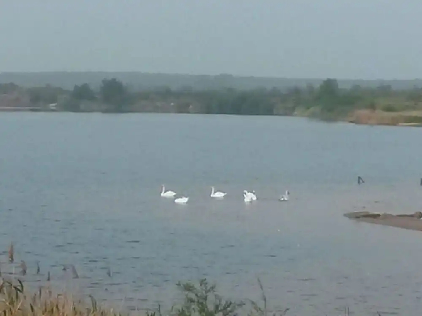 Holiday House House on Muhlfeldsee