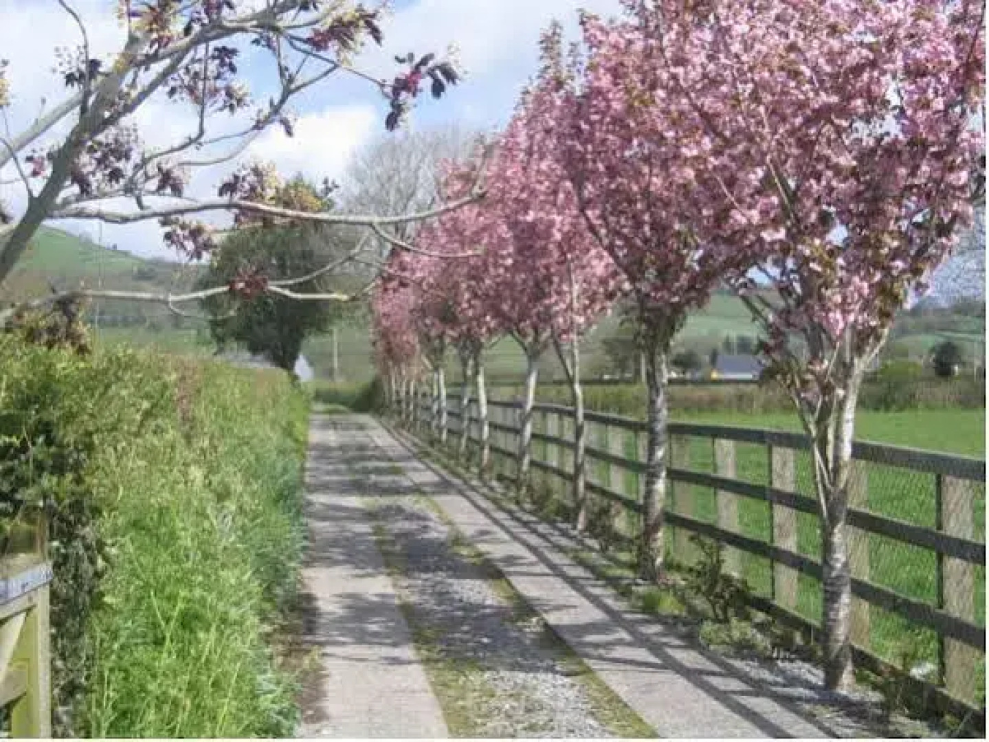 Ty Castell Bed  Breakfast - Home of the Kingfisher