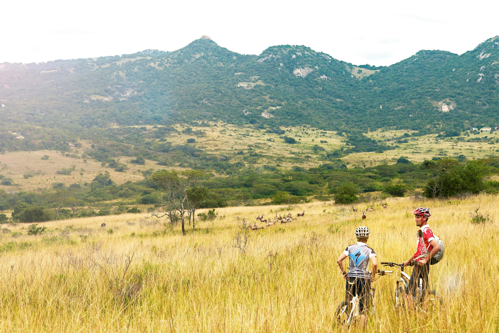 Tomjachu Bush Retreat