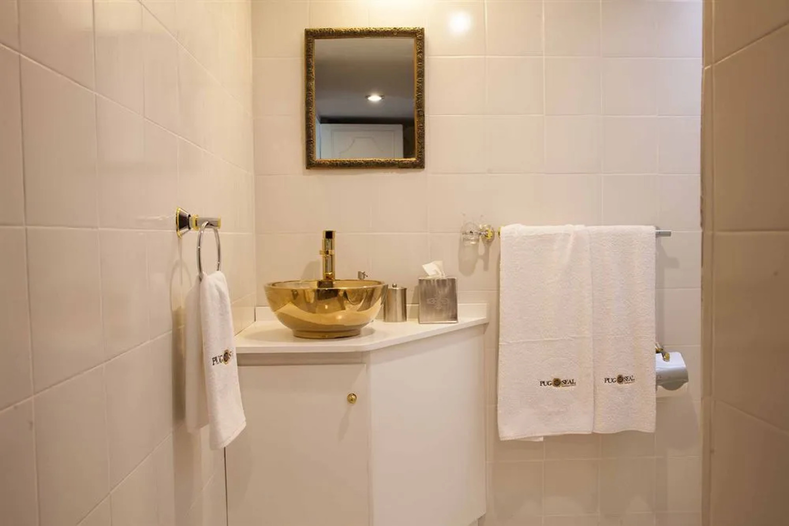 Pug Seal B&B Coyoacan