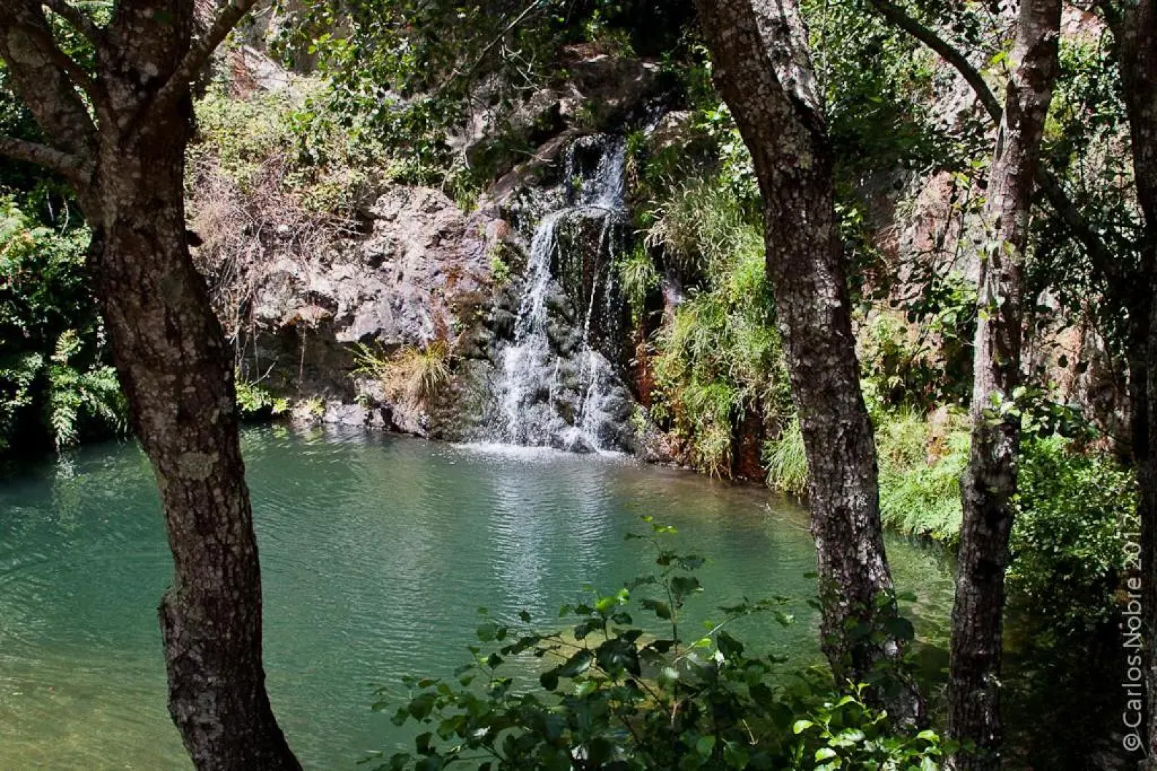 Apartamentos Rurais - Casas do Lagar