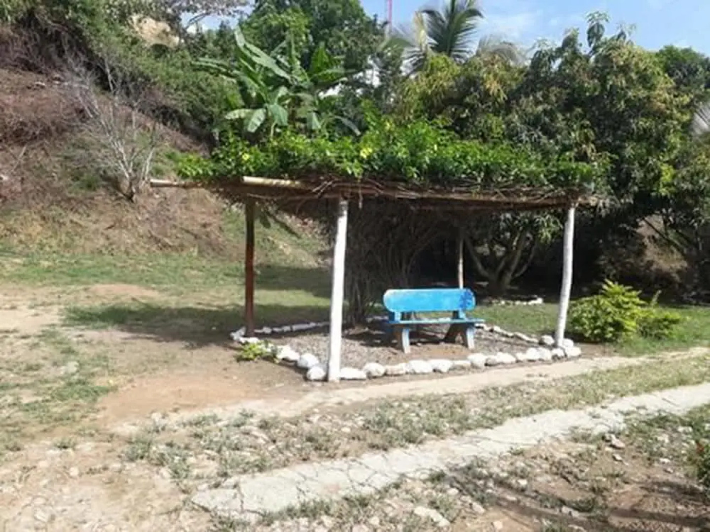 Villa Del Bosque Totumo