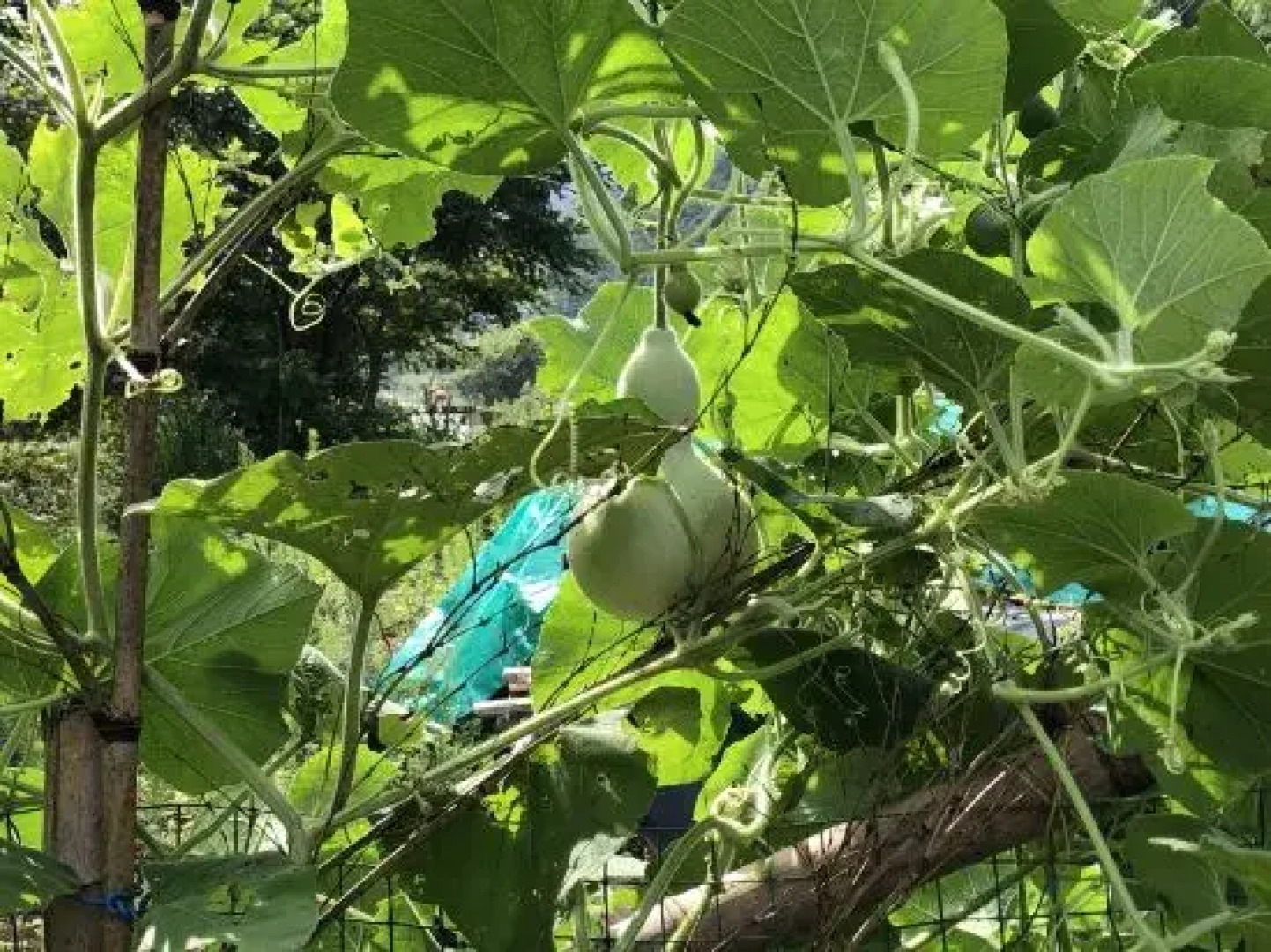Qixian Qingfeng Farmhouse