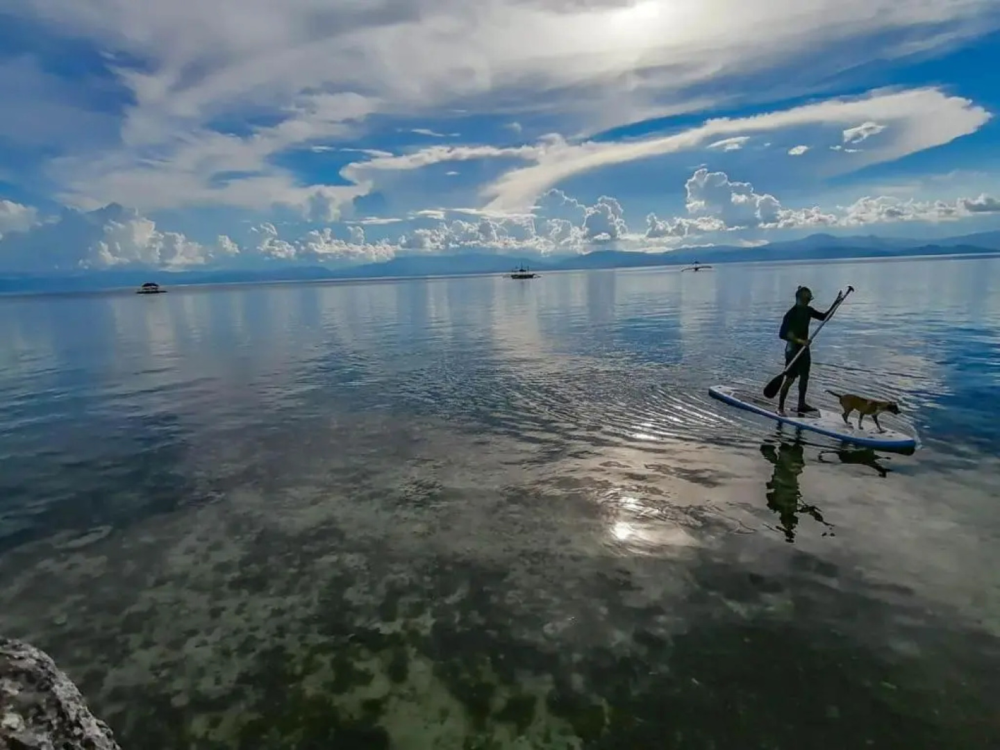 The Blue Orchid Resort