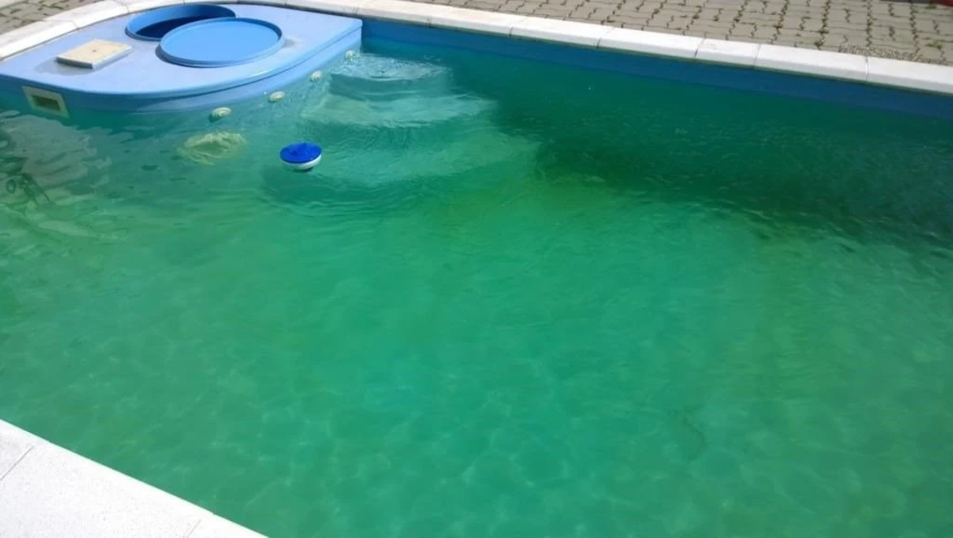 Fekete Macska Panzió