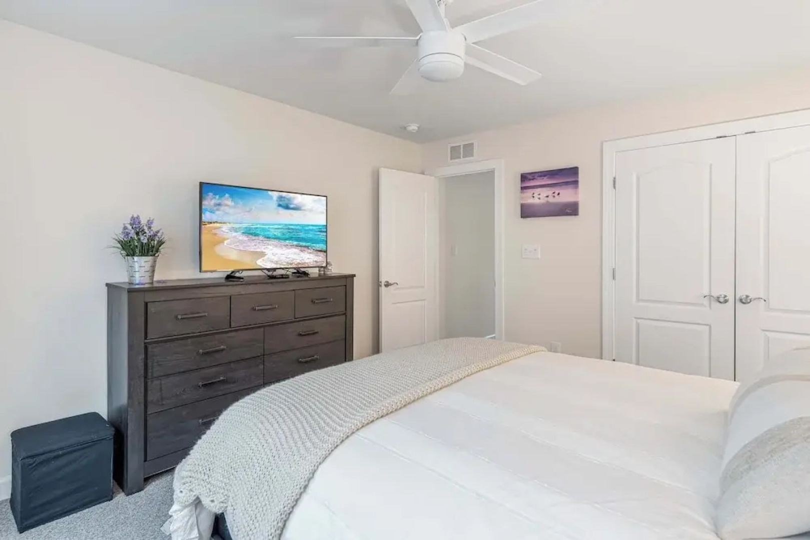 Wild Air Getaway For 12!