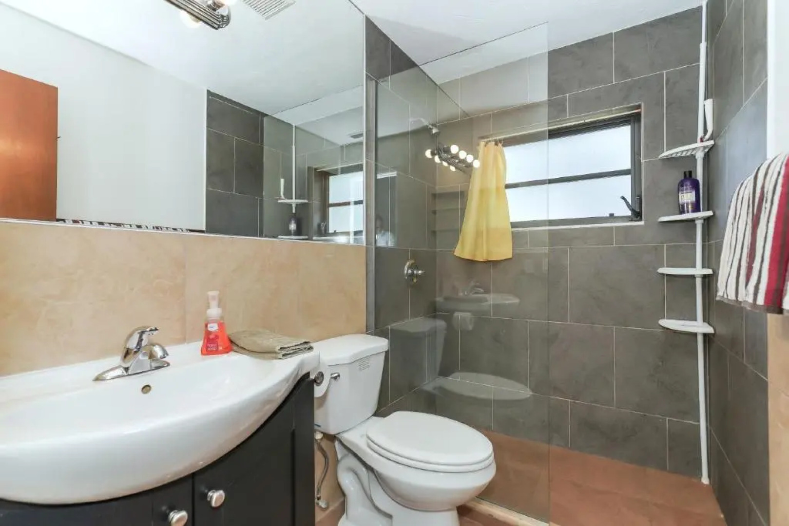 Tropical Fruit Garden