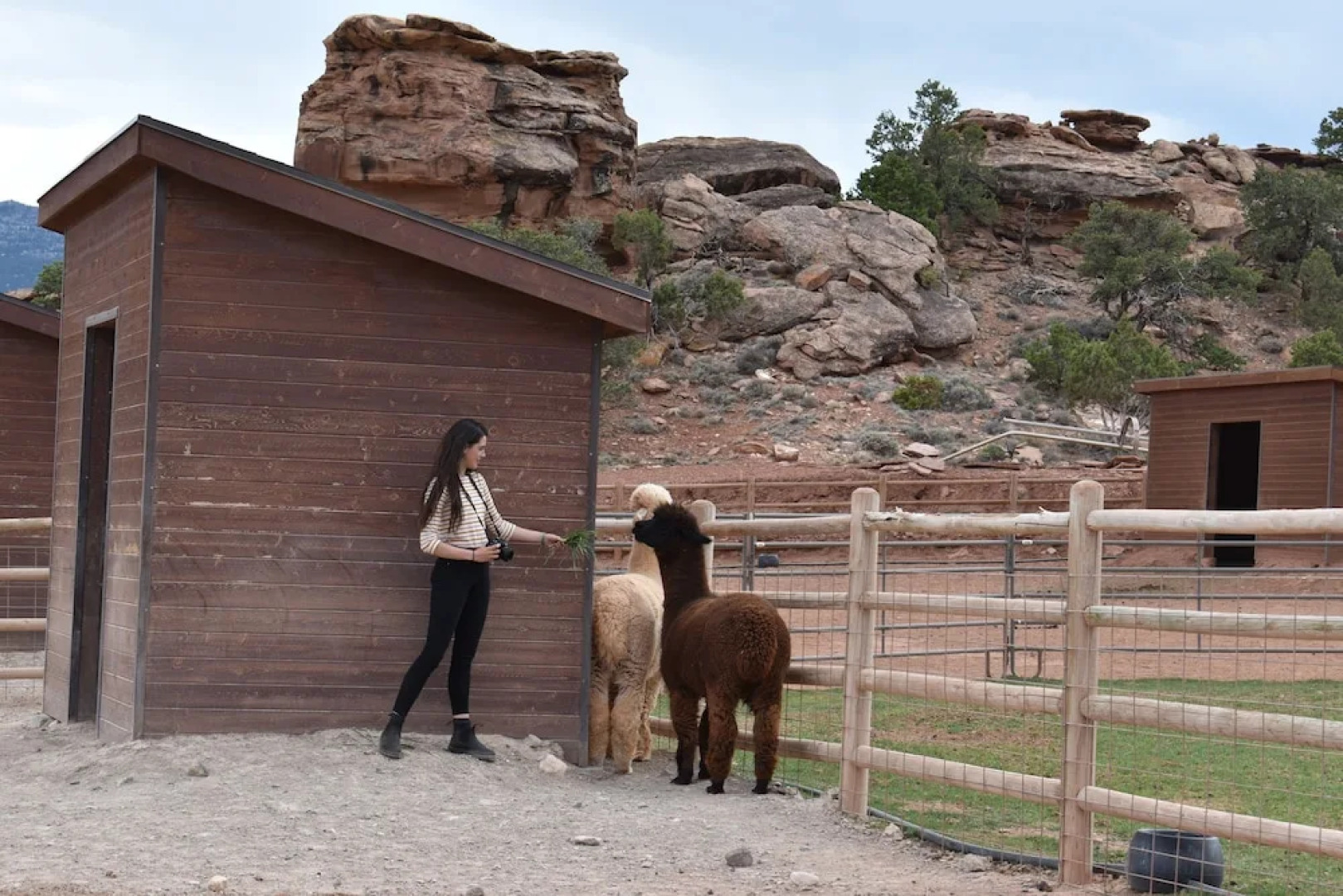 Cougar Ridge Resort, LLC