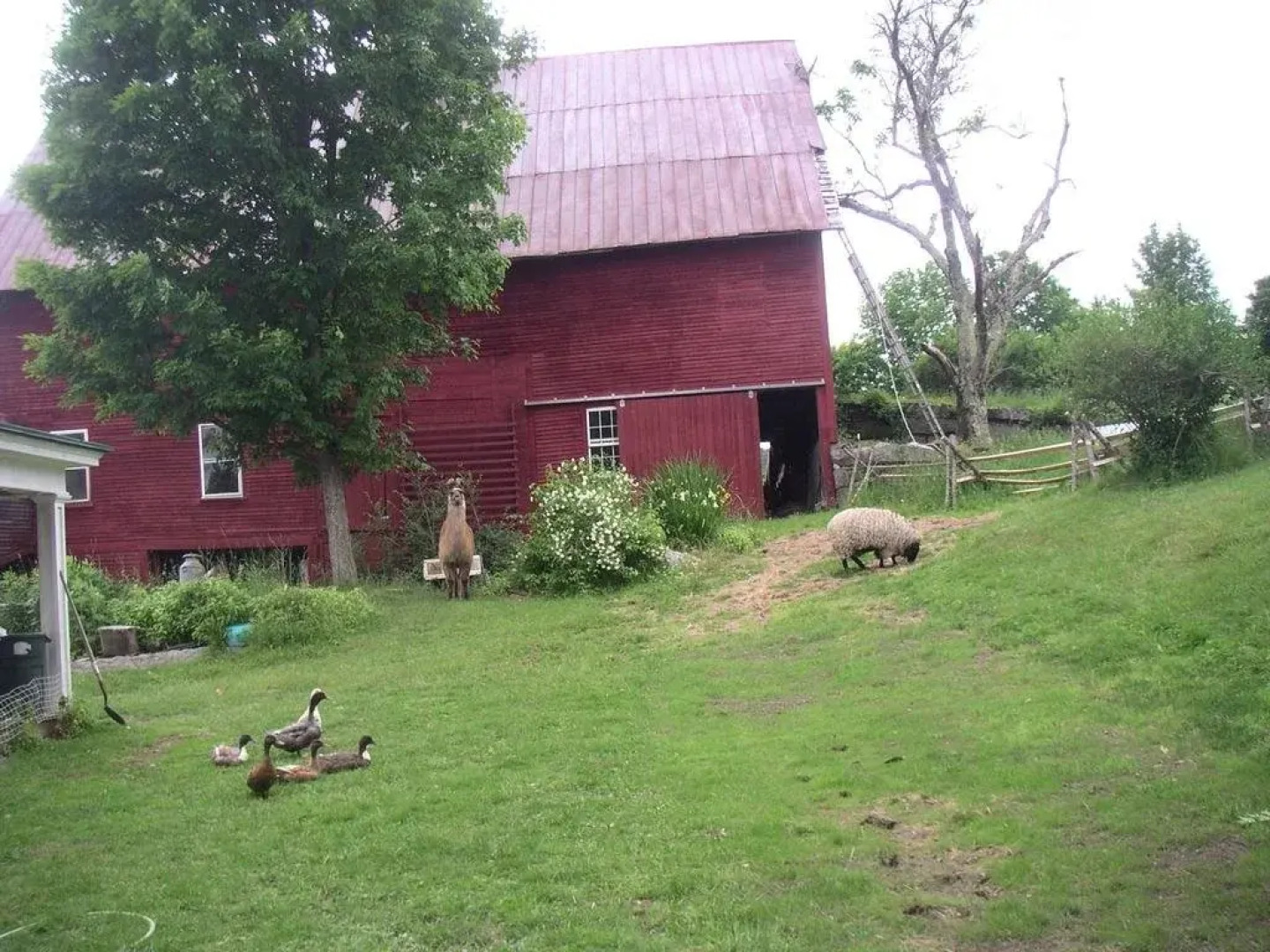 Pie in the Sky Farm B & B & Retreat