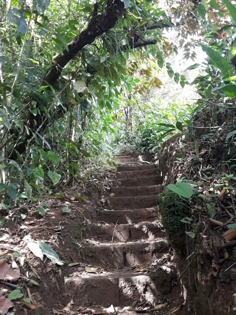 Rio Celeste Family Lodge