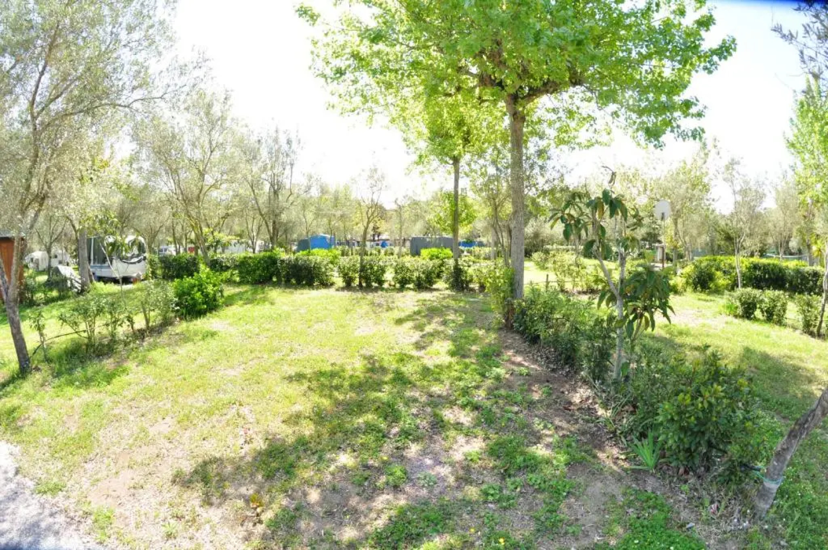 Happy Camp mobile homes in Camping Village Paestum