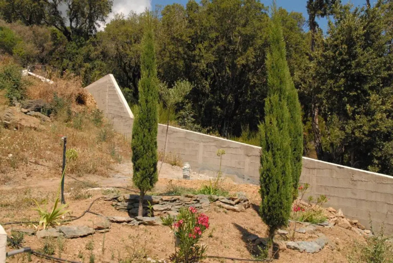 Appartement vue sur mer