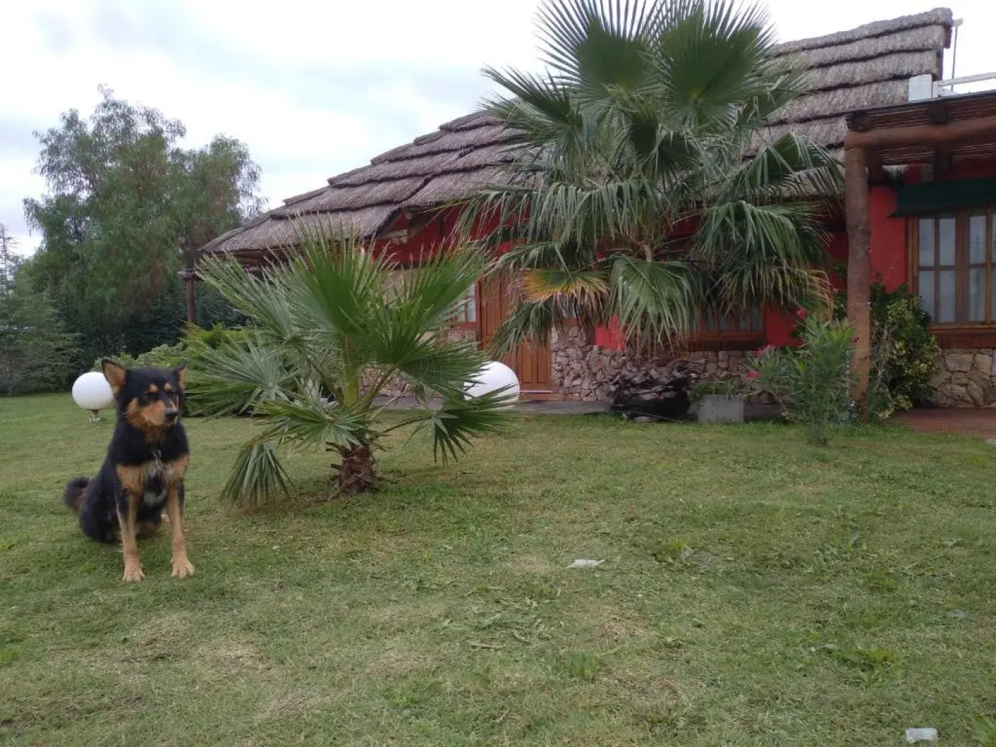 Cabañas Villa Lounge