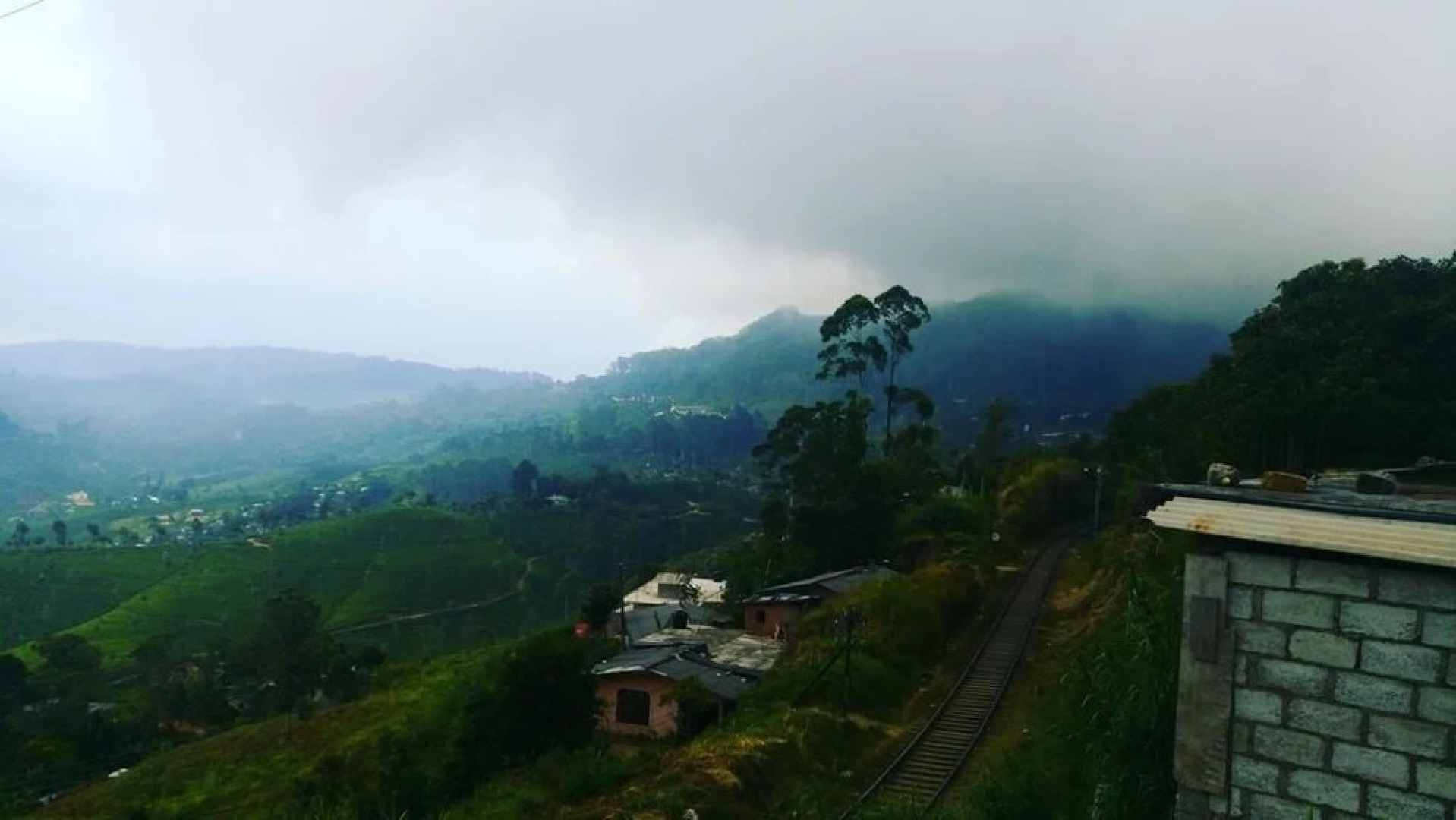 Mountain View Bungalow